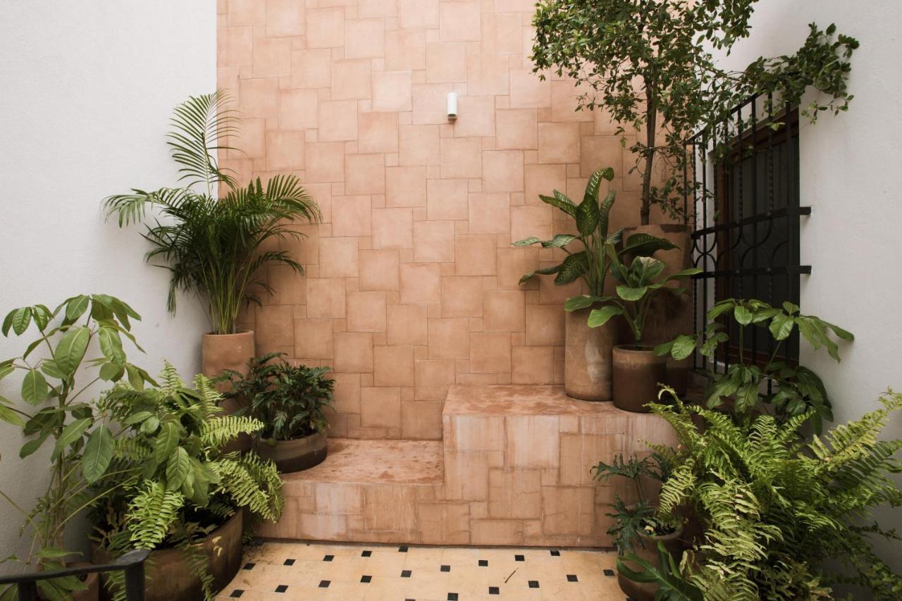 Casa Montore By Barrio Mexico Guadalajara Exterior photo