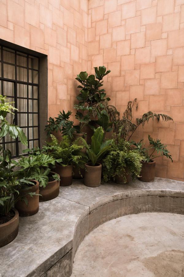 Casa Montore By Barrio Mexico Guadalajara Exterior photo